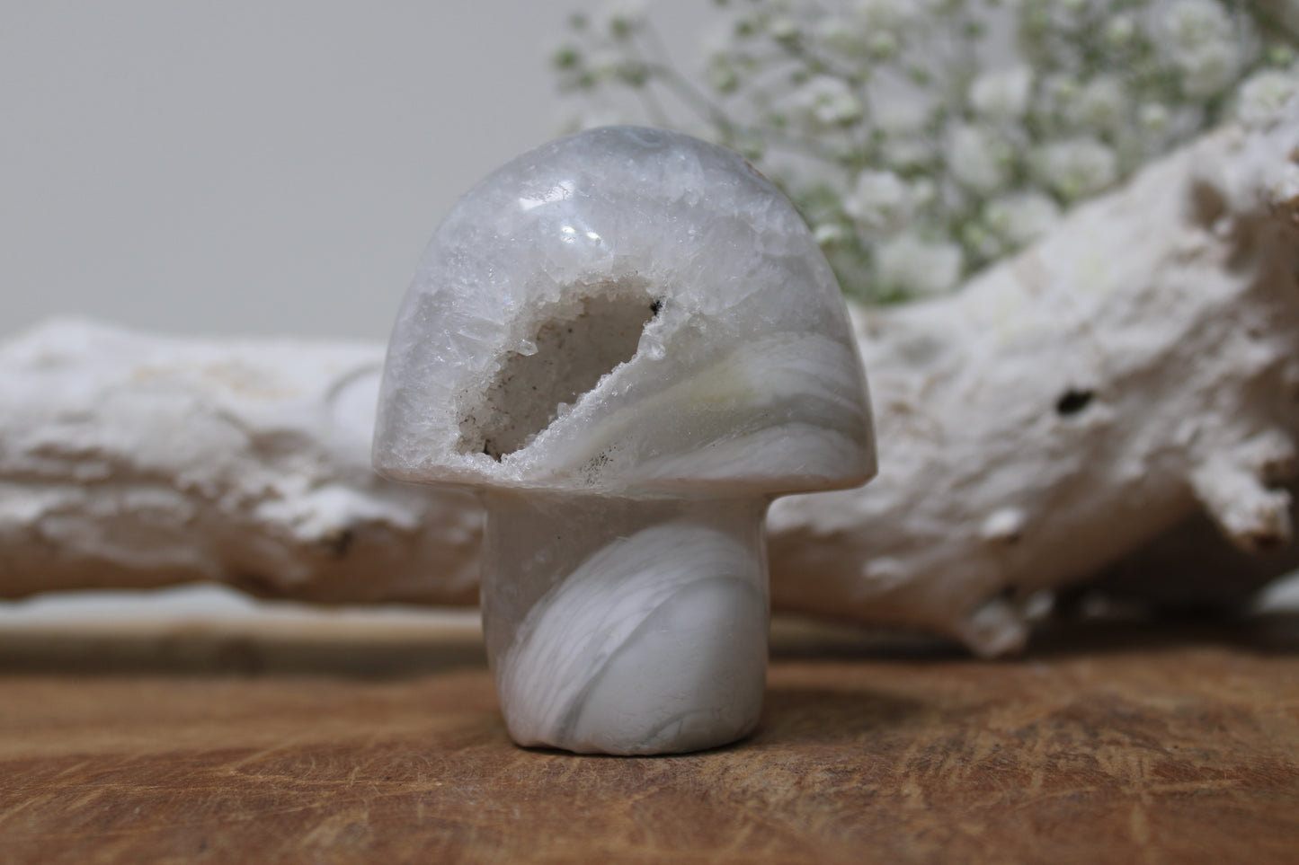 Agate mushroom