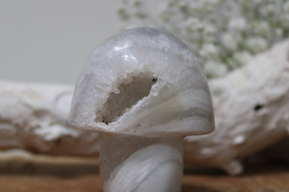 Agate mushroom