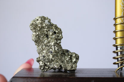 Pen holder with pyrite