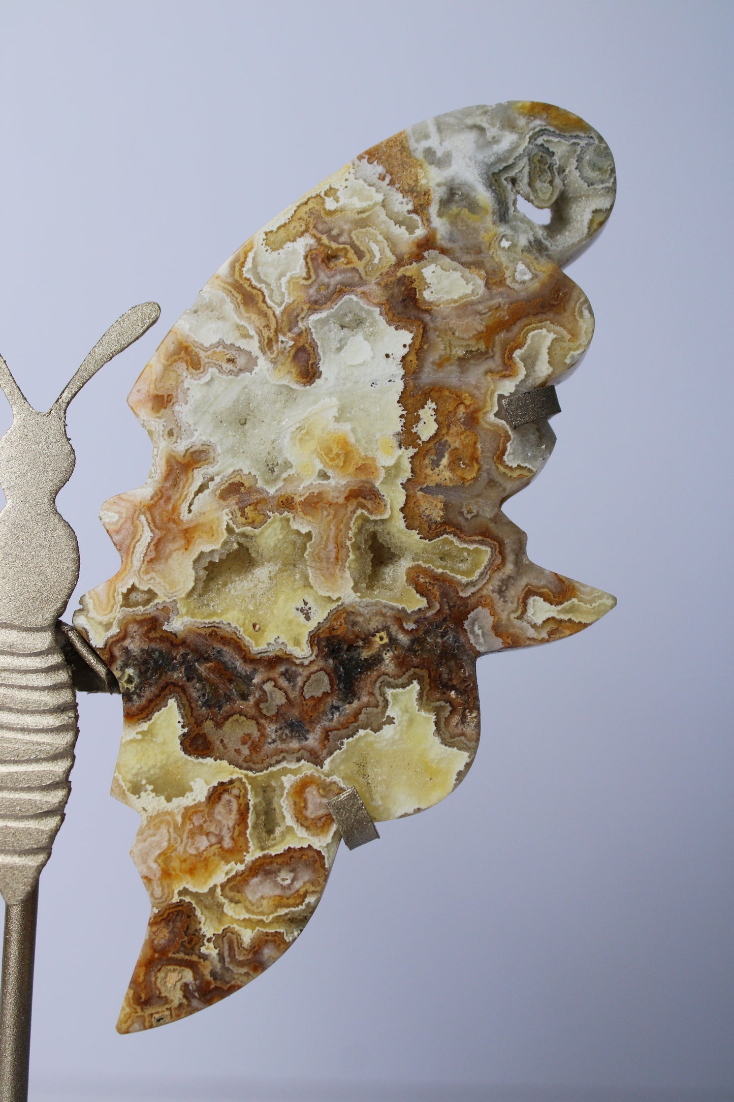 Yellow crazy lace agate butterfly on stand 1