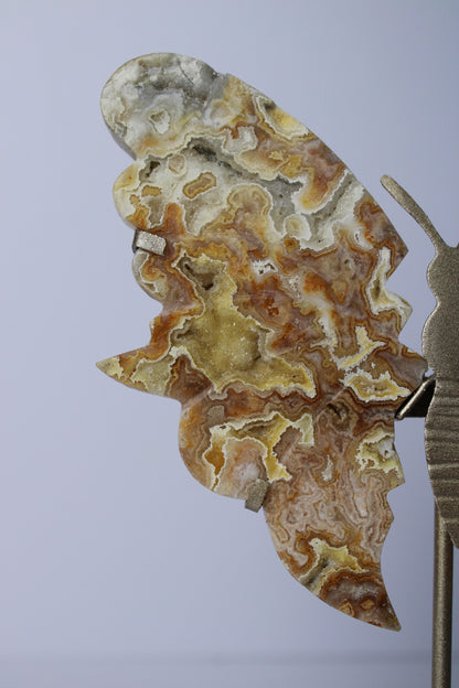 Yellow crazy lace agate butterfly on stand 1