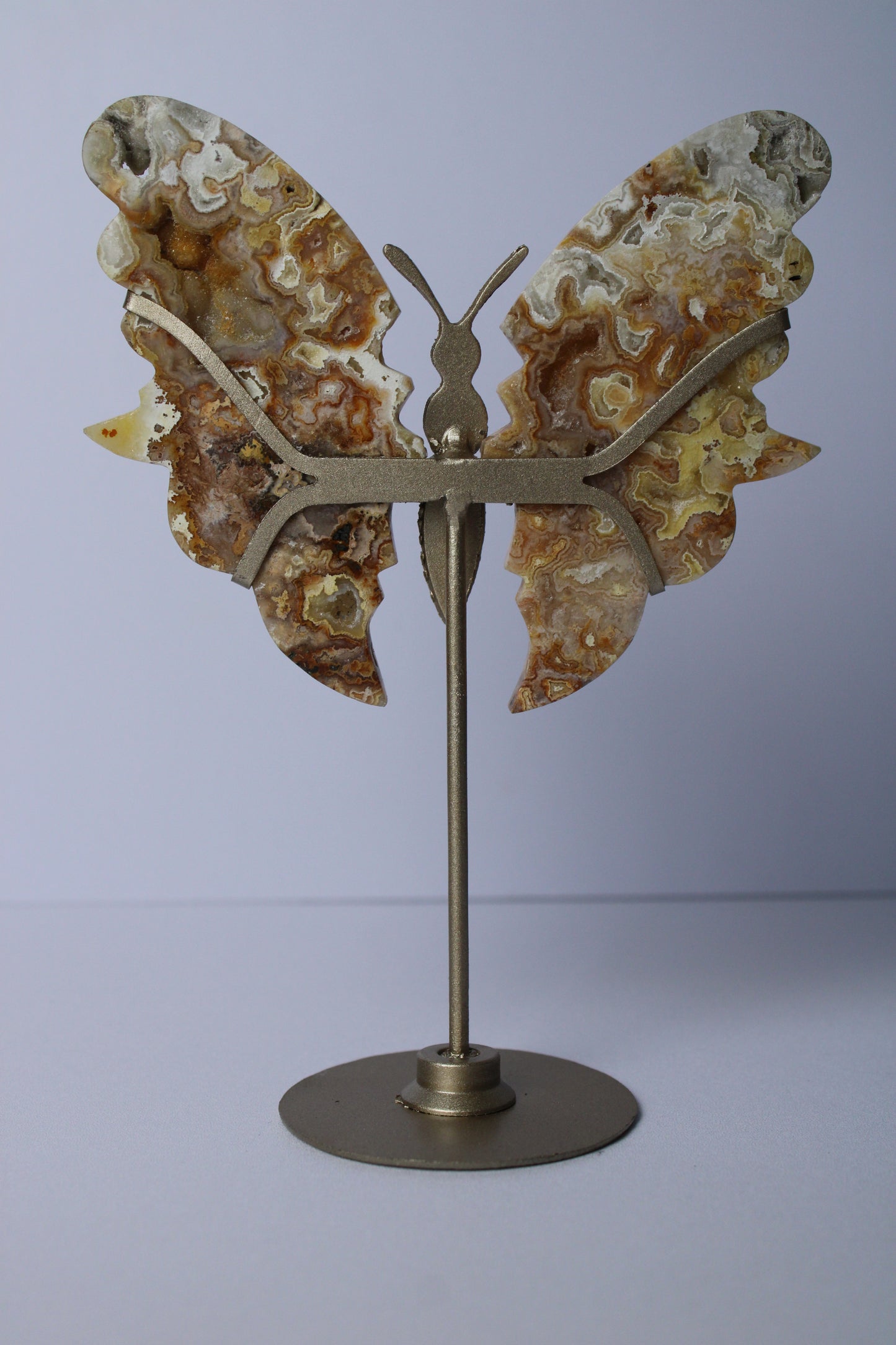 Yellow crazy lace agate butterfly on stand 1