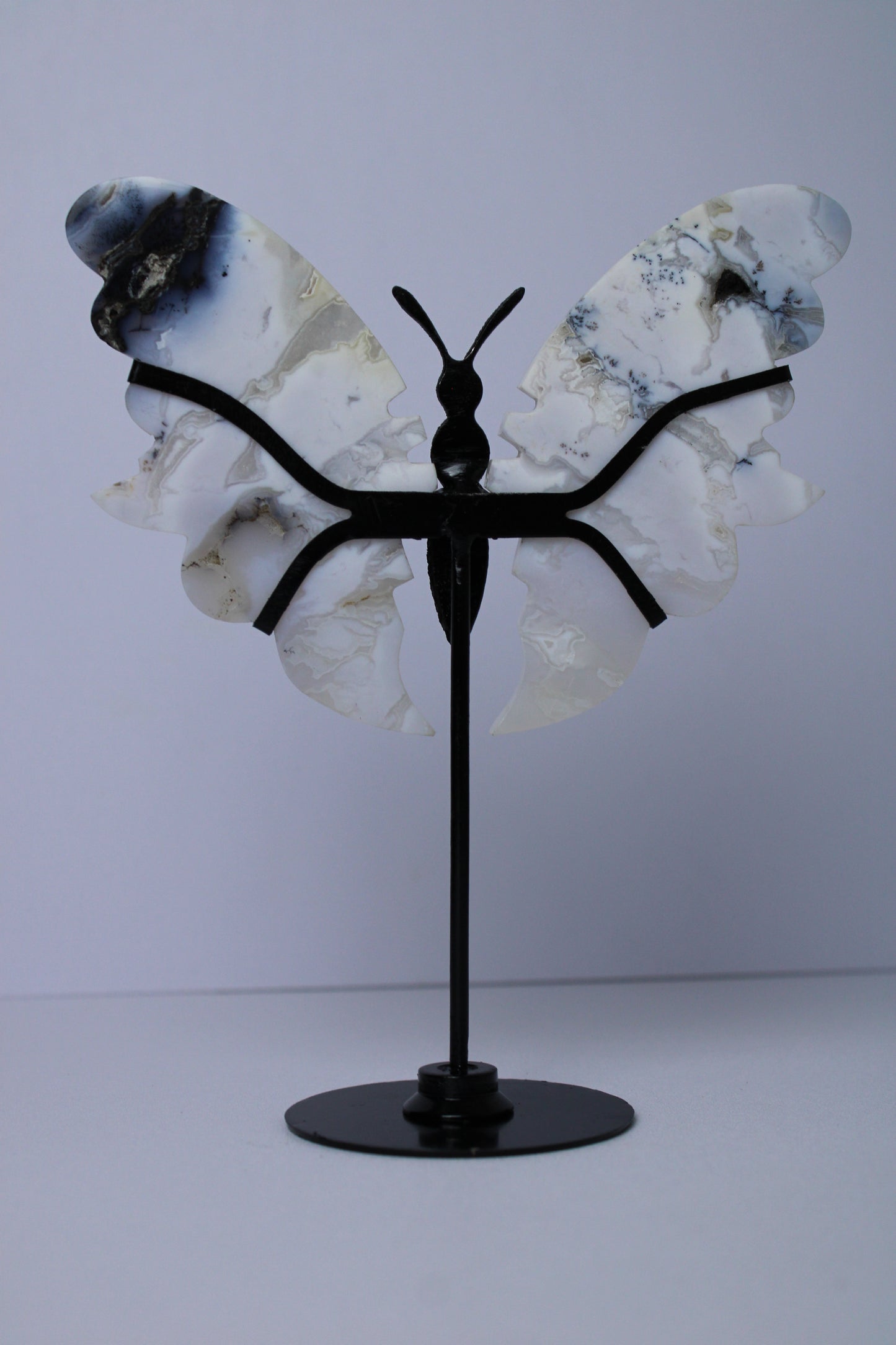 Dendrite butterfly on stand