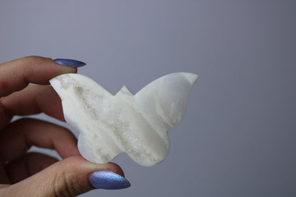 Snow agate butterfly