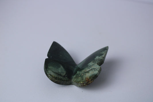 Grüner Jaspis-Schmetterling