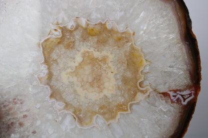 Agate slice 6