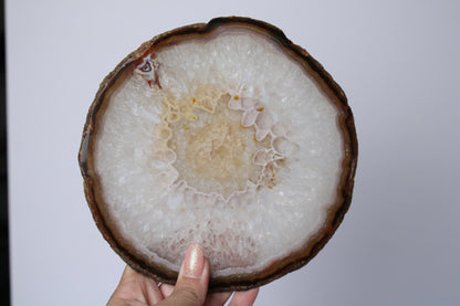 Agate slice 6